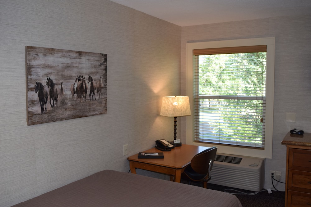 Mountain View Hotel - photo 9