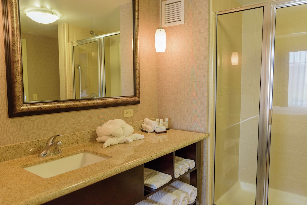 Embassy Suites by Hilton Minneapolis North - photo 22