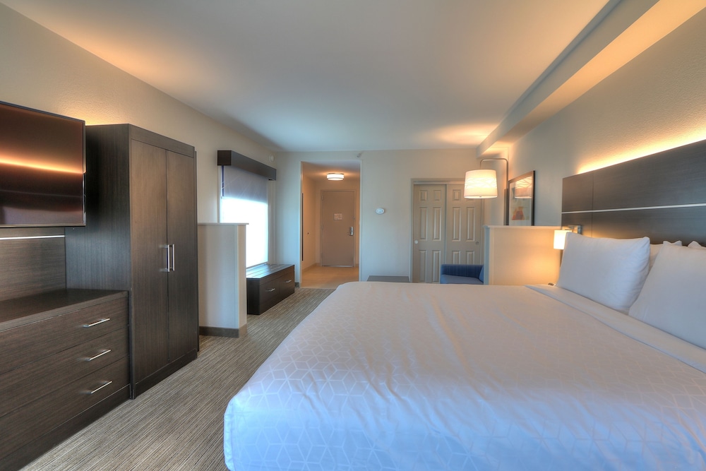 Holiday Inn Express Hotel & Suites Mobile Saraland by IHG - photo 6