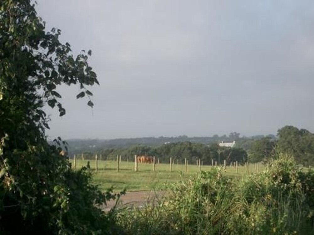 Scenic Hill Retreat - photo 103