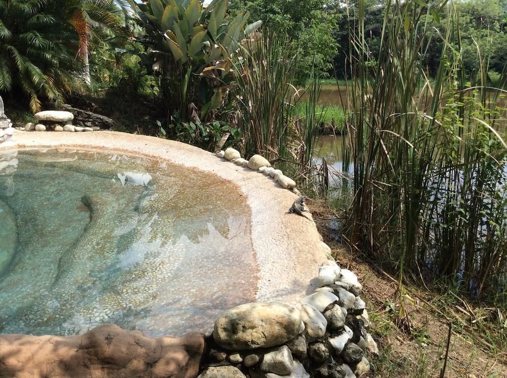 Natural pool