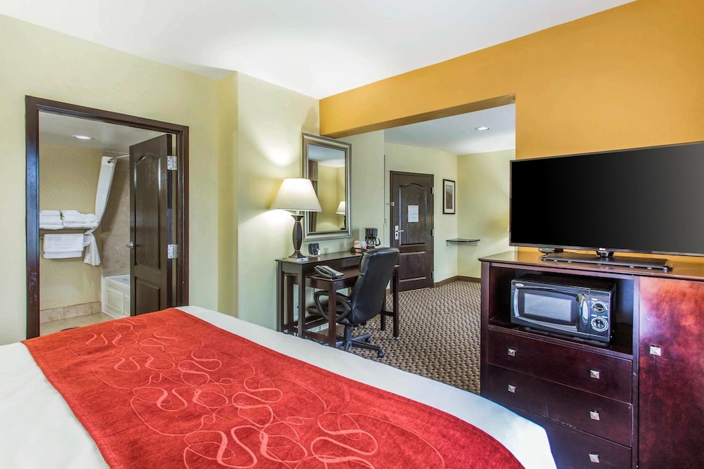 Comfort Suites Clinton near Presbyterian College - photo 19