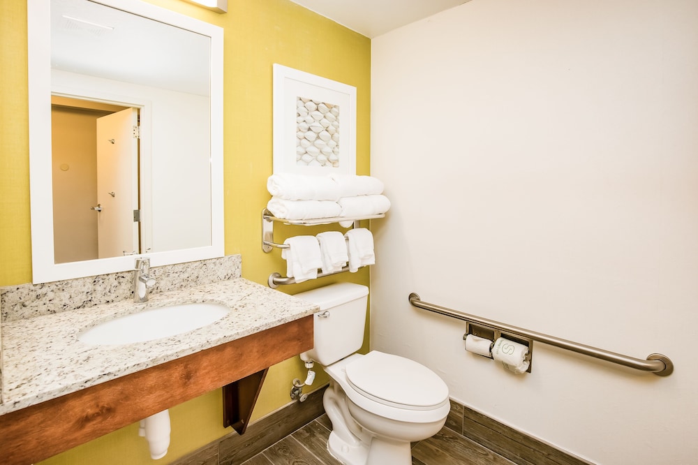 Hilton Garden Inn Orange Beach Beachfront - photo 63