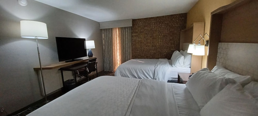 Holiday Inn McAllen Medical Center Area an IHG Hotel - photo 14