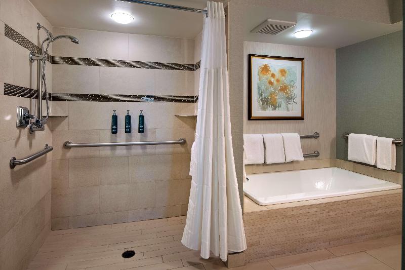 DoubleTree by Hilton Washington DC Crystal City - photo 287
