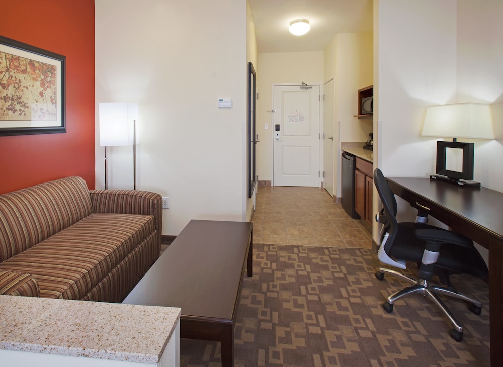 Holiday Inn Lincoln Southwest by IHG - photo 3