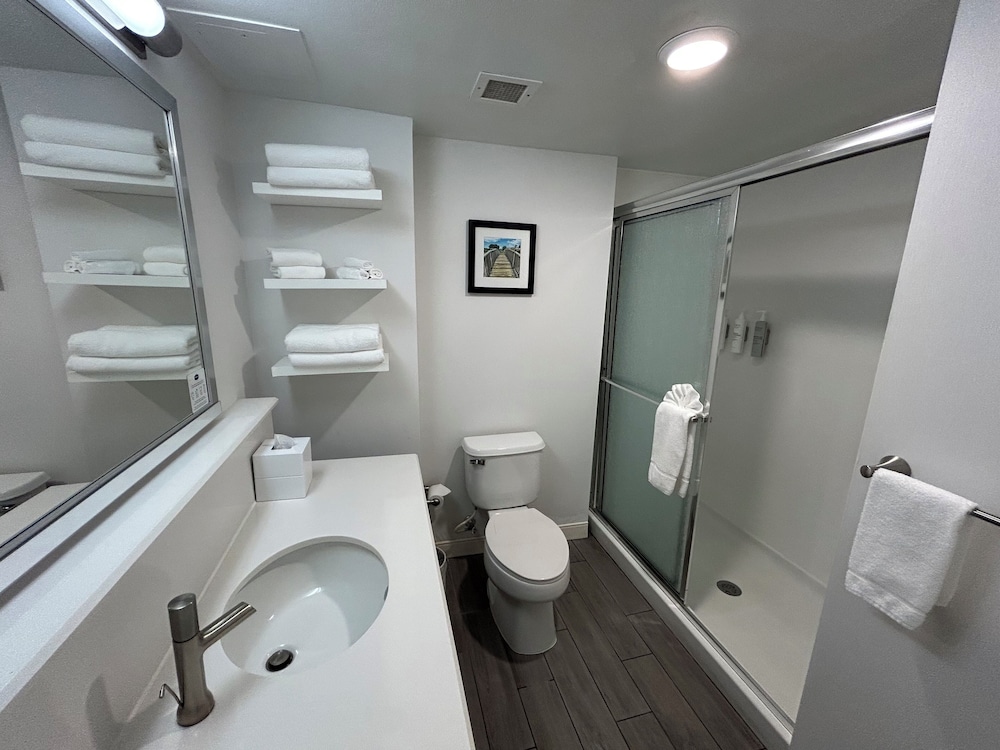Hampton Inn & Suites Clermont - photo 31