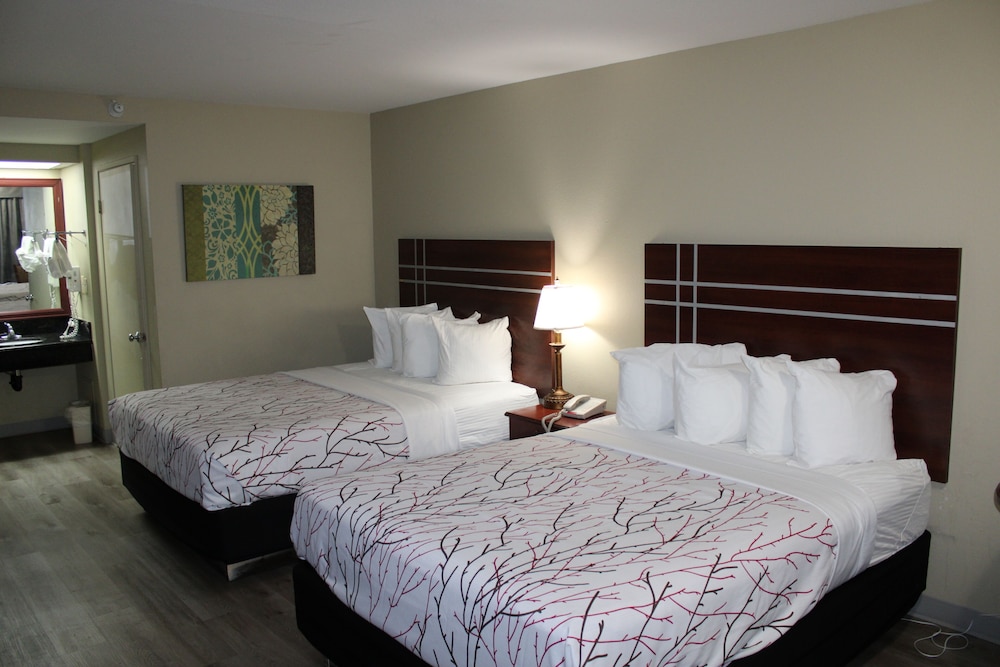 Rancho San Diego Inn and Suites - photo 16