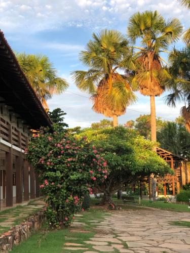 Pousada das Palmeiras — hotel in Posse