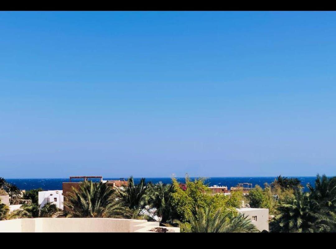 Blue Lotus - carbon neutral hotel in Dahab