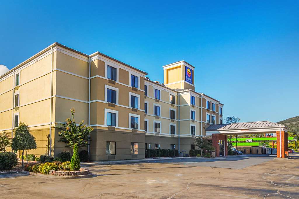 Comfort Inn & Suites Lookout Mountain - photo 4
