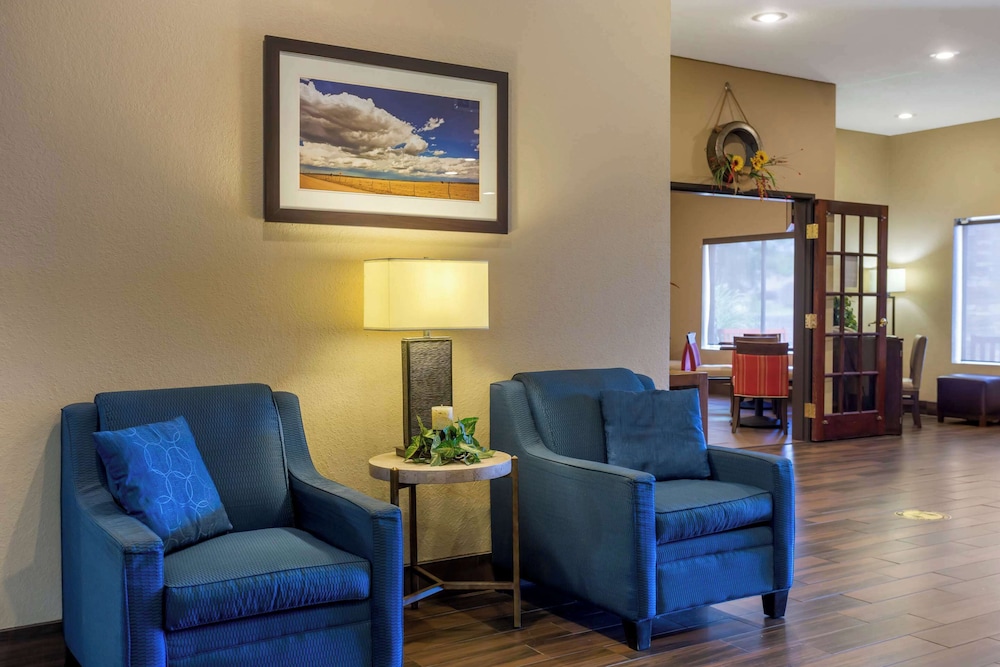 Comfort Inn & Suites Pittsburg KS - photo 4