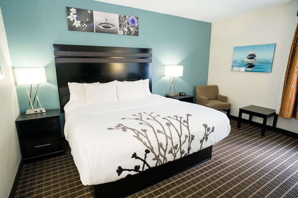 Sleep Inn & Suites Knoxville West - photo 34