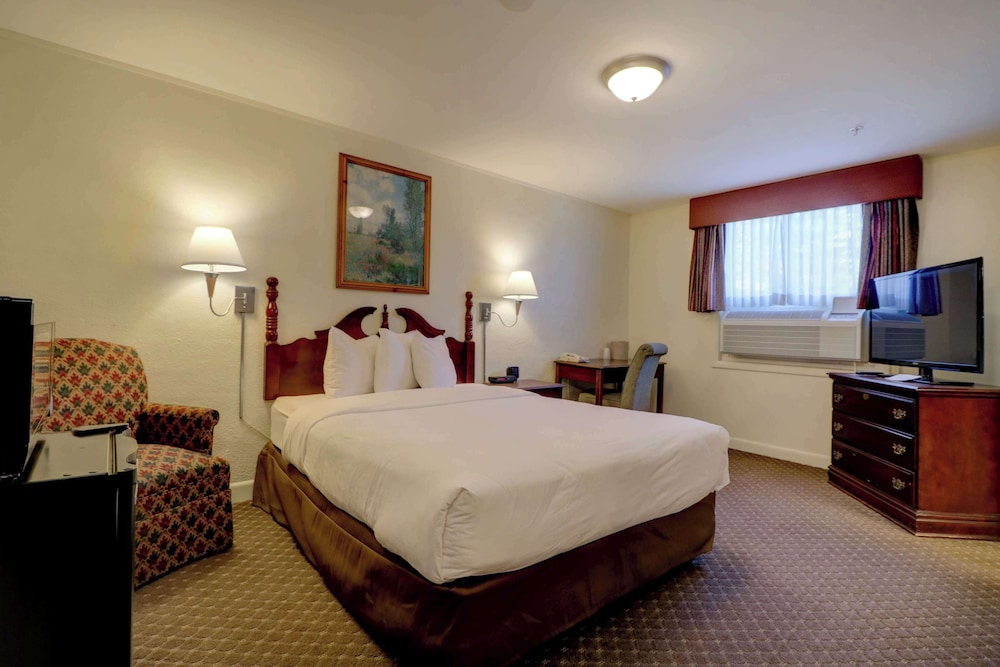 Senator Inn & Spa - photo 51