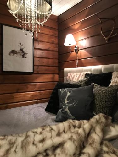 Levinlento in Kittilae, Finland