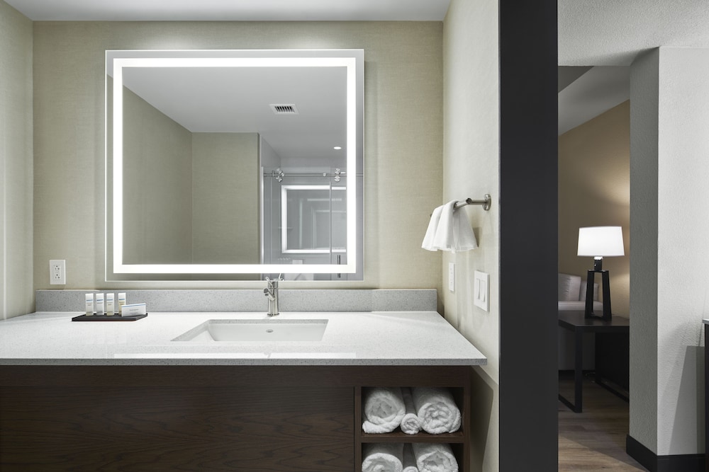 Embassy Suites by Hilton Nashville Downtown - photo 55