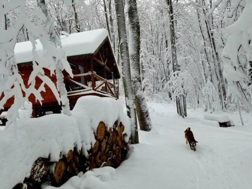 Les Cabines Nordik des Piles in Shawinigan, Canada