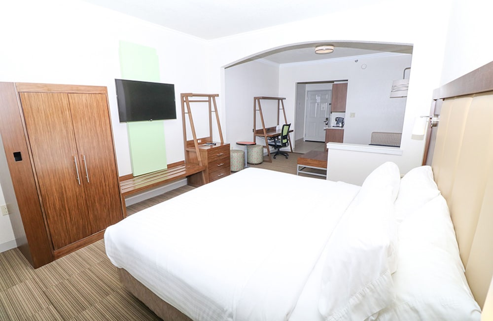 Holiday Inn Express Hotel & Suites Greenville by IHG - photo 16