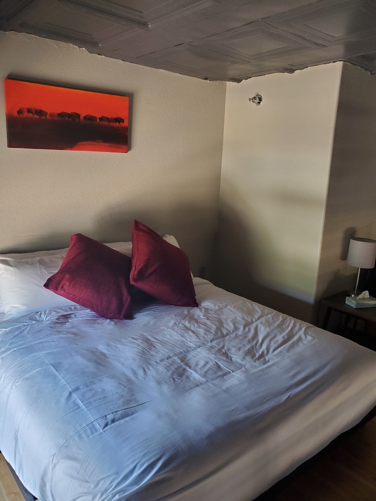 The Hotel Sturgis - photo 13