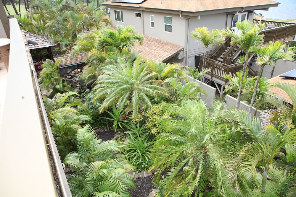 Kohea Kai Maui - photo 42