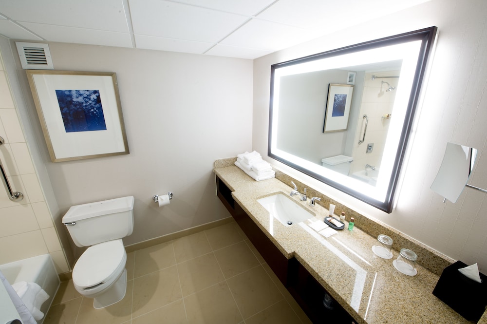 Sheraton Memphis Downtown Hotel - photo 5