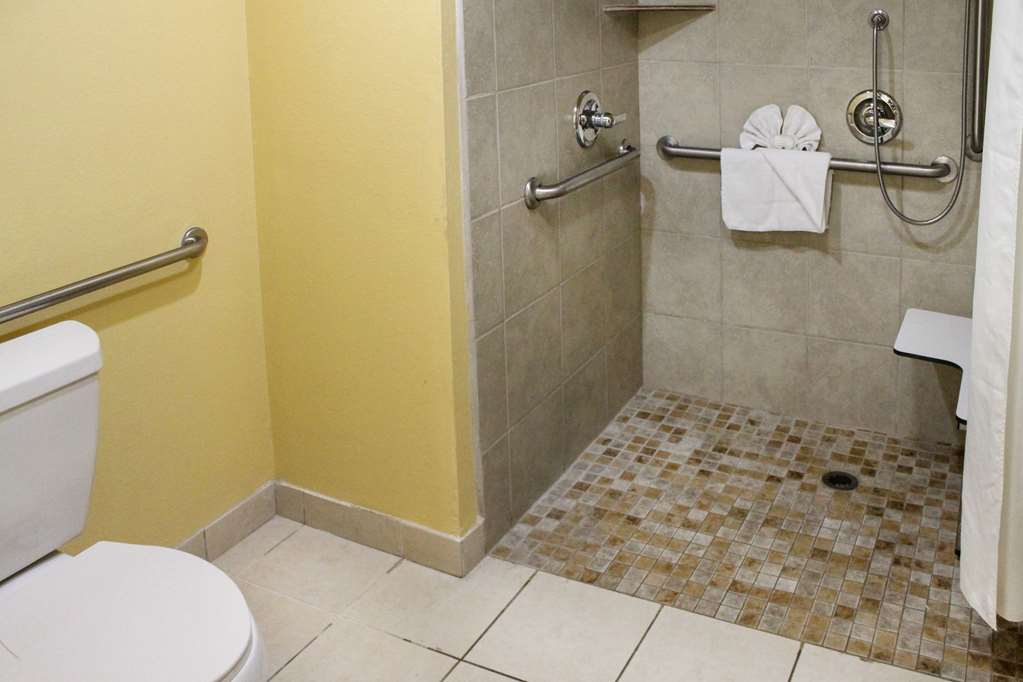 Quality Inn near Hearst Castle - photo 22