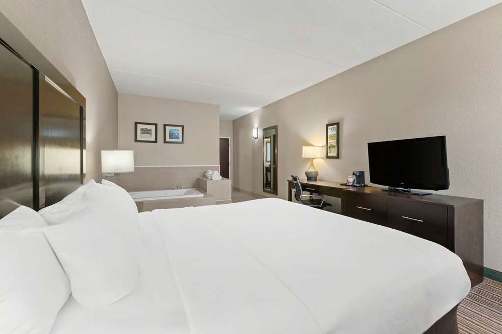 Comfort Inn Lehigh Valley West Allentown - photo 25