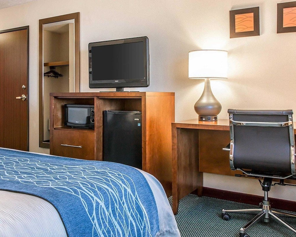 Bluffton Inn & Suites By IHG - photo 9
