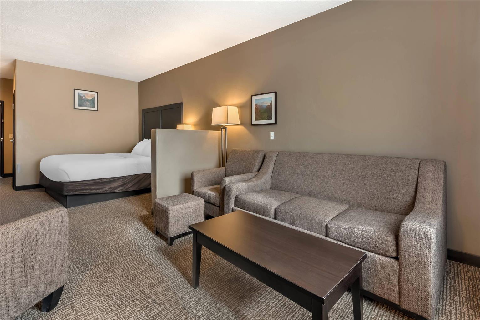 Comfort Inn & Suites Vernal National Monument Area - photo 53