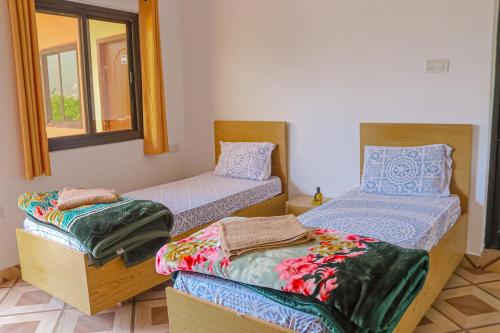 Satya Yoga Ashram Rishikesh — Narendranagar