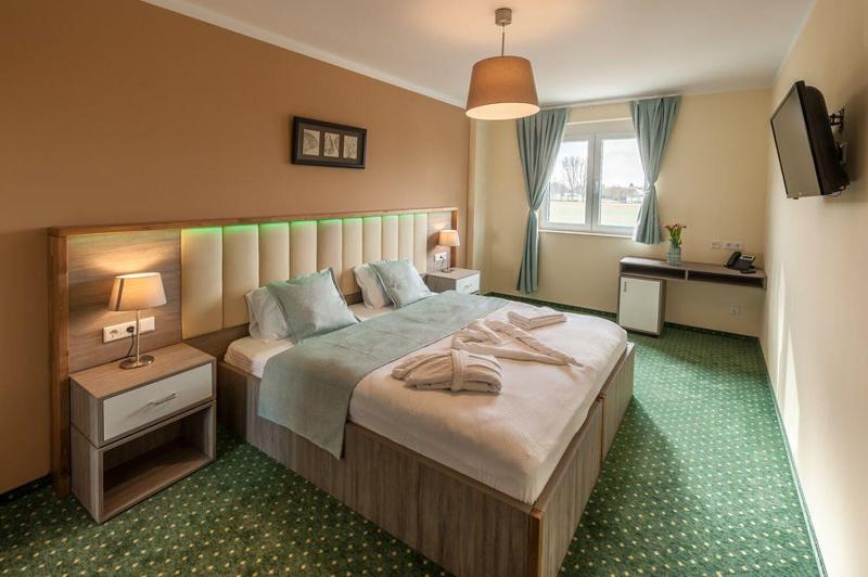 Mein Palace Hotel — hotel in Hattersheim
