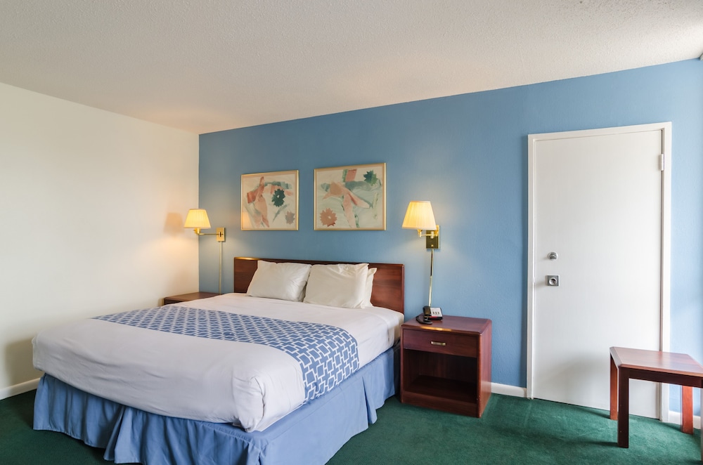 Alamo Inn & Suites - photo 11