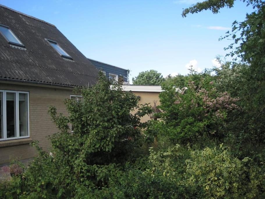 Vesløs Hus med udsigt in Unknown City, Denmark