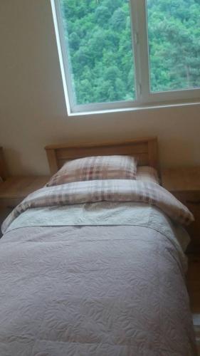 Guesthouse Gama in Khevsureti