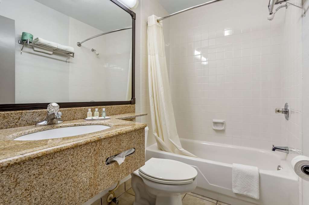 Quality Inn & Suites NRG Park Medical Center - photo 12