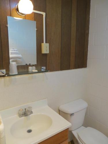 Alamo Inn - photo 16