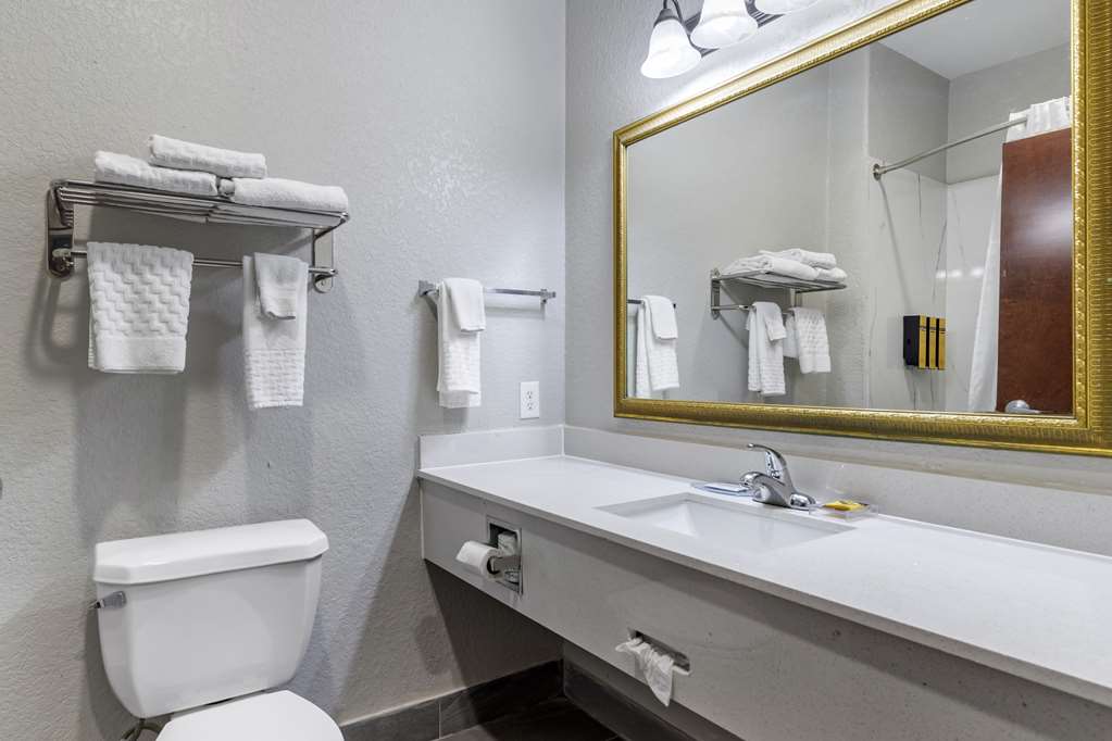 Best Western Plus Victoria Inn & Suites - photo 19