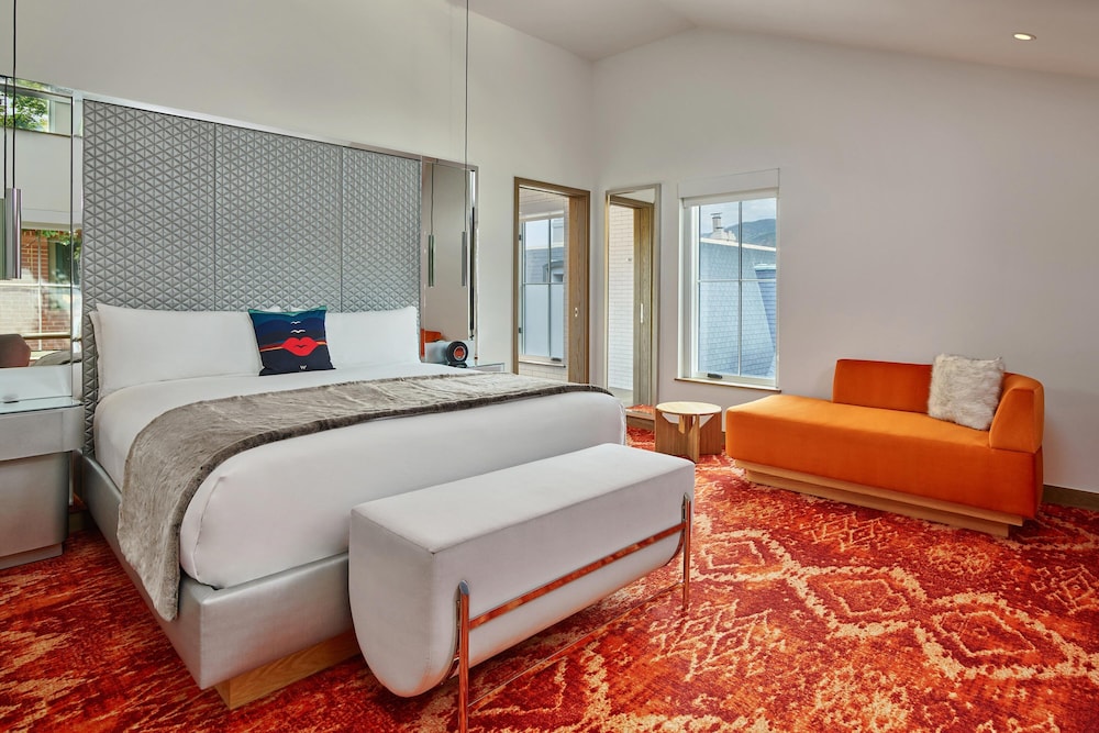 The Sky Residences at W Aspen - photo 10