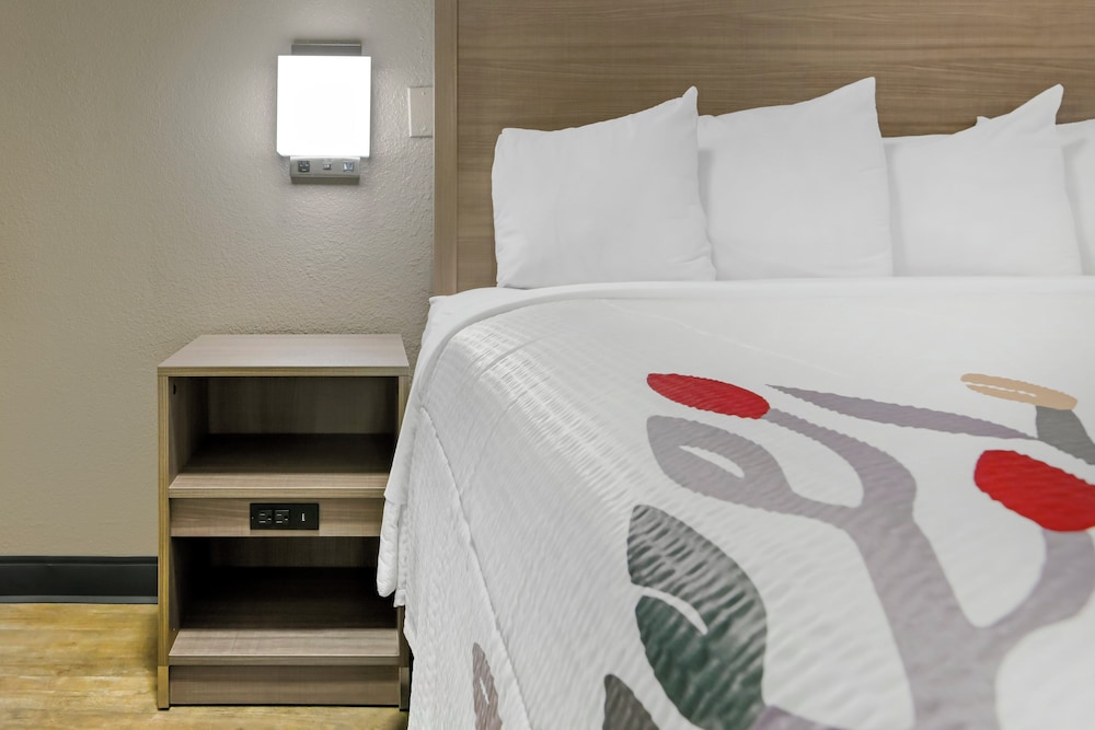 Red Roof Inn Washington DC Laurel - photo 5