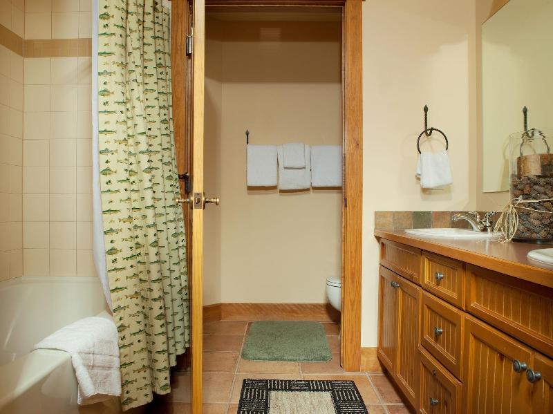 The Springs Condos by Keystone Resort - photo 46