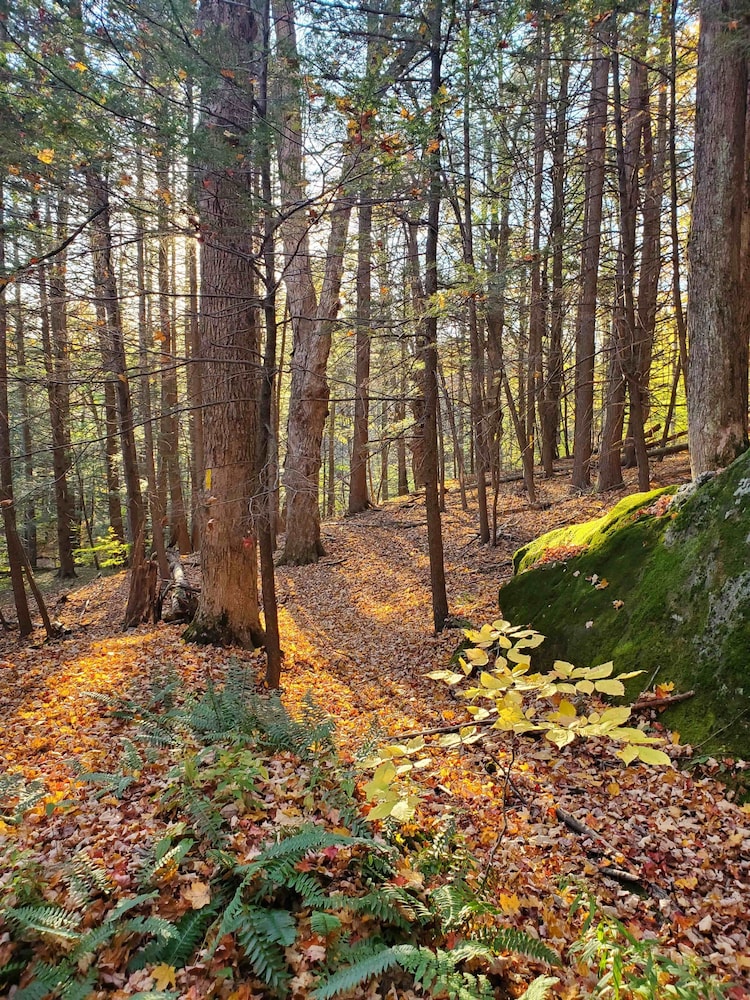 The Brattleboro - photo 16