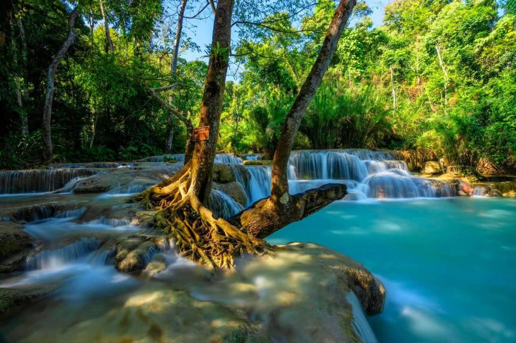 Anlan Hotel - last minute hotel in Luang Prabang