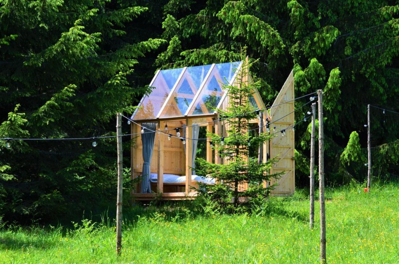 Starry Night Retreat — hotel in Subcetate