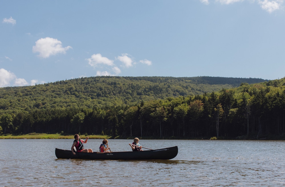 The Inn at Snowshoe - photo 10