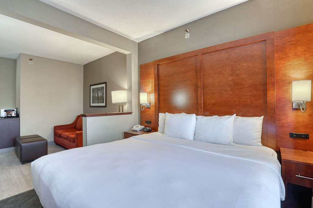 Comfort Suites Madison West Middleton - photo 23