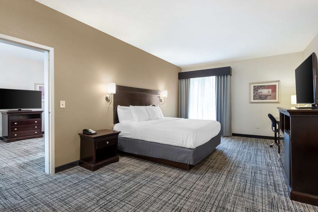 Best Western Plus Greenville South - photo 21