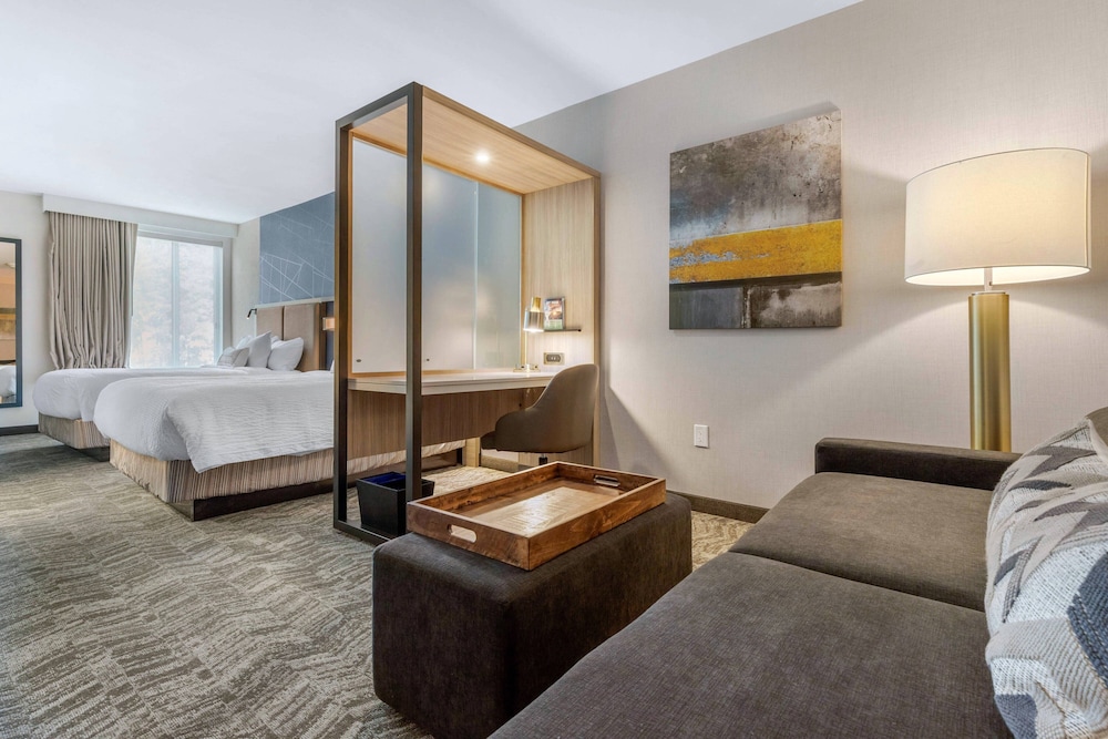 SpringHill Suites by Marriott Charlotte Southwest - photo 9