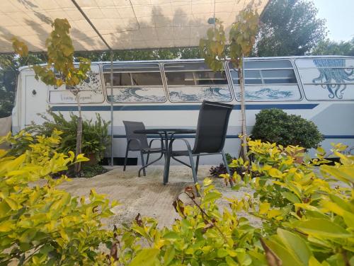 Venus Elegant Getaway Bus in Chlorakas, Cyprus