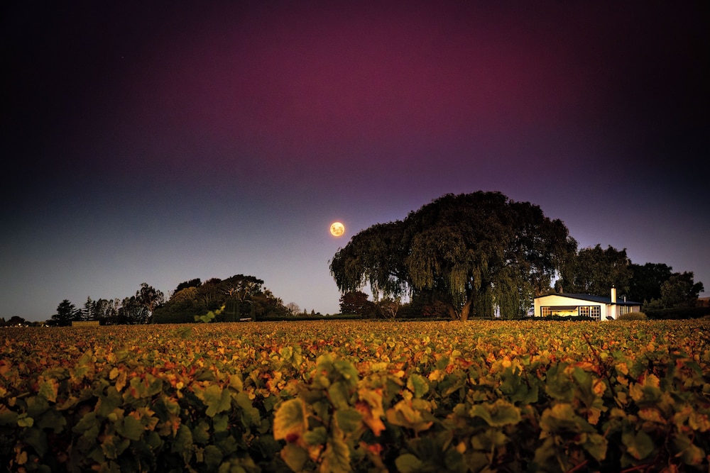 St Leonards Vineyard Cottages — 4-Star Luxury Hotel in Blenheim, New Zealand