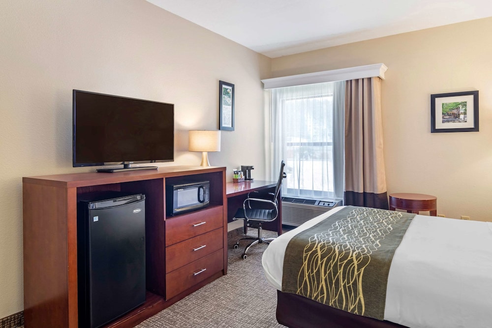 Comfort Inn Douglasville Atlanta West - photo 11